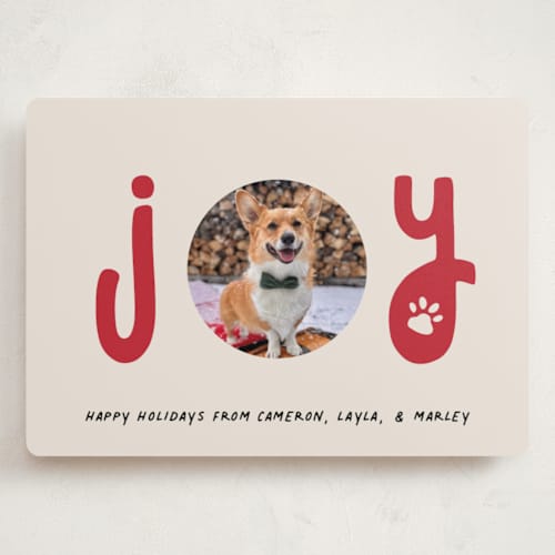 This is a candy cane holiday photo cards with standard by Louise Kay called joyful pet printing on recycled smooth signature in grand