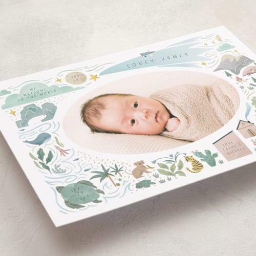 This is a blue jay petite birth announcements with standard by Grae called a wonderful world printing on recycled smooth signature in petite