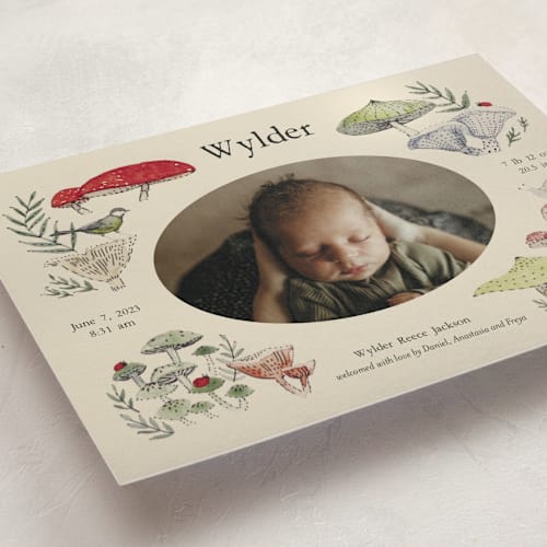 This is a lichen birth announcement postcards with standard by Bonnie Davis called woodland wonder printing on signature in postcard