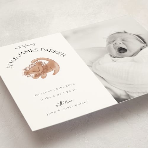 This is a desert birth announcement postcards with standard by Maja Cunningham called disney the little lion king printing on signature in postcard
