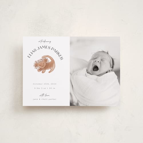 This is a desert petite birth announcements with standard by Maja Cunningham called disney the little lion king printing on recycled smooth signature in petite