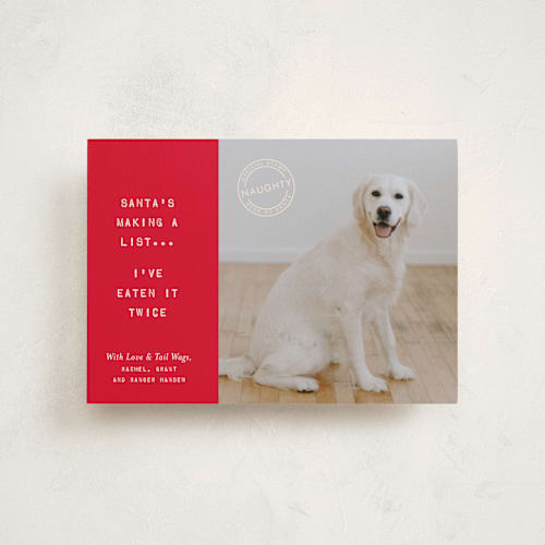 This is a holly petite holiday cards with standard by The Social Type called naughty holiday dog printing on recycled smooth signature in petite