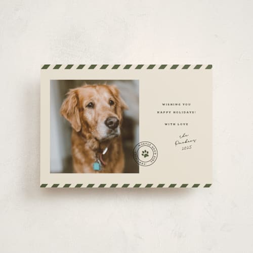 This is a forest petite holiday cards with standard by Roxy Cervantes called mostly good printing on recycled smooth signature in petite