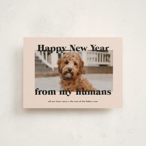 This is a sugar cookies petite holiday cards with standard by Annie Clark called happy howlidays printing on recycled smooth signature in petite