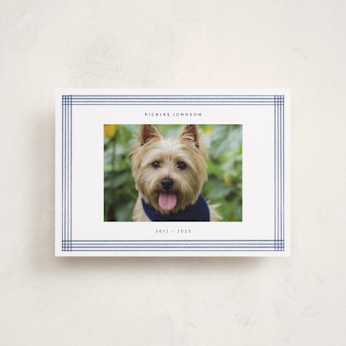 This is a jeans memorial cards with standard by Adelyn T. called pencil lines printing on recycled smooth signature in petite