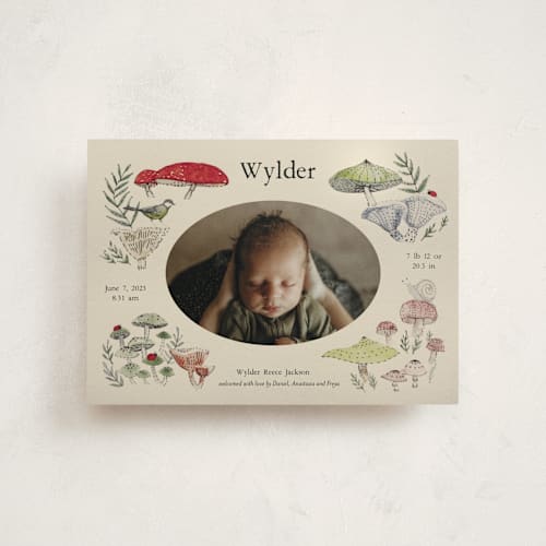 This is a lichen birth announcement postcards with standard by Bonnie Davis called woodland wonder printing on signature in postcard