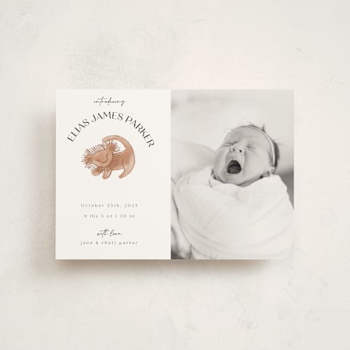 This is a desert birth announcement postcards with standard by Maja Cunningham called disney the little lion king printing on signature in postcard