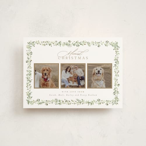 This is a snow petite holiday cards with standard by Everett Paper Goods called laurel garland printing on signature in petite
