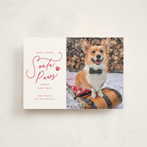 This is a cherry christmas postcards with standard by Everett Paper Goods called here comes santa paws printing on signature in postcard