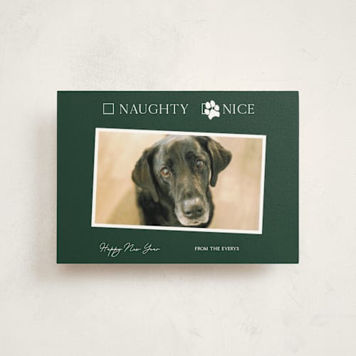 This is a forest christmas postcards with standard by Kat Roberts called nice pup printing on signature in postcard