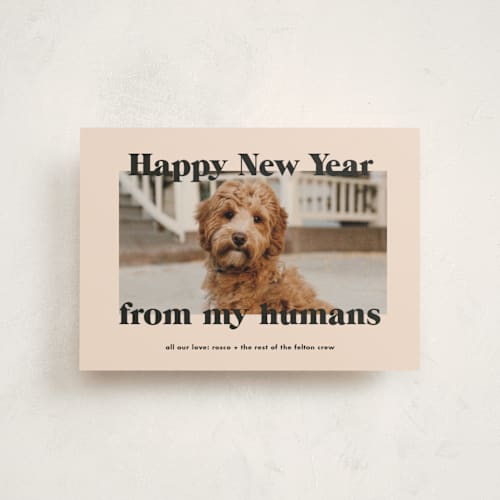 This is a sugar cookies christmas postcards with standard by Annie Clark called happy howlidays printing on signature in postcard