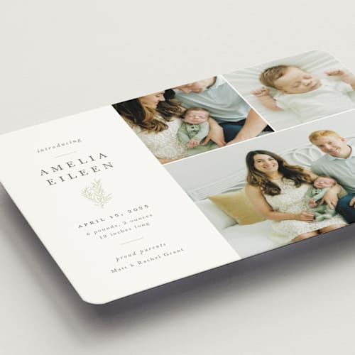 This is a sage birth announcement magnets with standard by Sarah Brown called tiny sprig printing on magnet paper in magnet