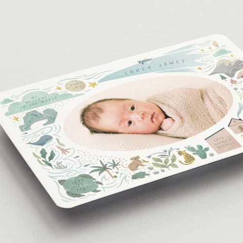 This is a blue jay birth announcement magnets with standard by Grae called a wonderful world printing on magnet paper in magnet