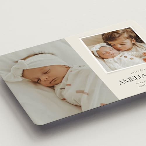 This is a cream birth announcement magnets with standard by Jessica Williams called petite introduction printing on magnet paper in magnet