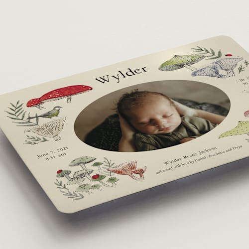 This is a lichen birth announcement magnets with standard by Bonnie Davis called woodland wonder printing on magnet paper in magnet