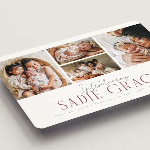 This is a rose birth announcement magnets with standard by Michelle Taylor called cheer all year printing on magnet paper in magnet