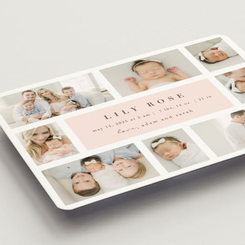 This is a blush birth announcement magnets with standard by Maria Alou called family album printing on magnet paper in magnet