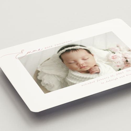 This is a rose birth announcement magnets with standard by Jenna Holcomb called sweetest printing on magnet paper in magnet