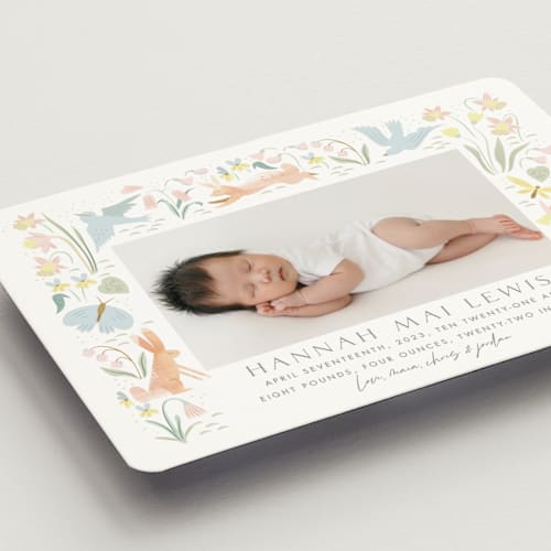 This is a sky birth announcement magnets with standard by Eve Schultz called baby garden printing on magnet paper in magnet