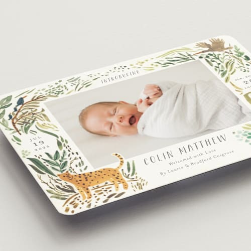 This is a jungle birth announcement magnets with standard by Morgan Ramberg called jungle friends printing on magnet paper in magnet