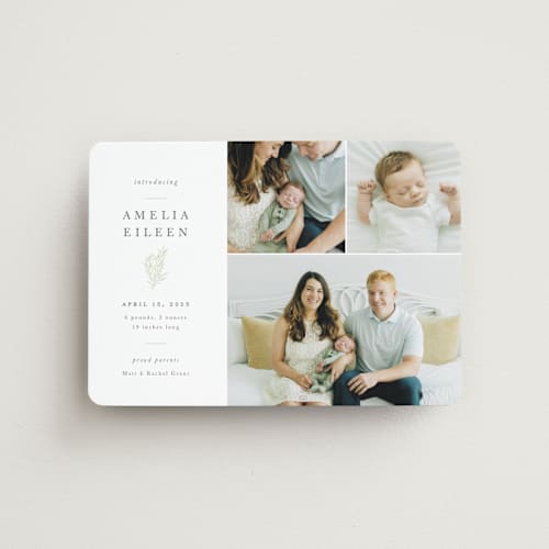 This is a sage birth announcement magnets with standard by Sarah Brown called tiny sprig printing on magnet paper in magnet