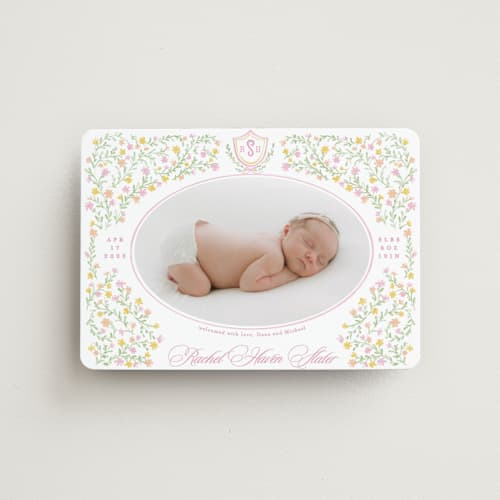 This is a cotton candy birth announcement magnets with standard by Creo Study called cottagecore printing on magnet paper in magnet