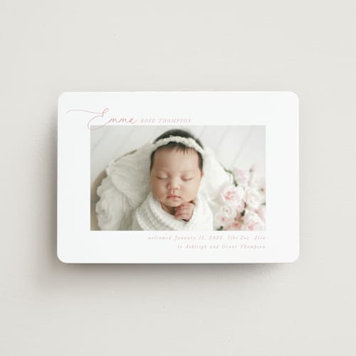 This is a rose birth announcement magnets with standard by Jenna Holcomb called sweetest printing on magnet paper in magnet