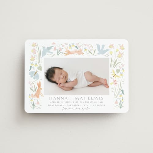 This is a sky birth announcement magnets with standard by Eve Schultz called baby garden printing on magnet paper in magnet