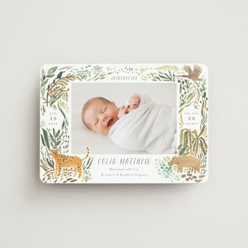 This is a jungle birth announcement magnets with standard by Morgan Ramberg called jungle friends printing on magnet paper in magnet