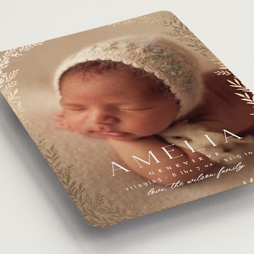 This is a vanilla birth announcement magnets with foil pressed by Laura Hankins called botanica frame printing on magnet paper in magnet