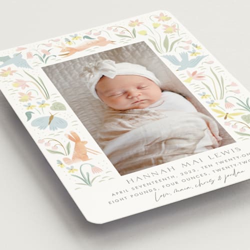 This is a sky birth announcement magnets with standard by Eve Schultz called baby garden printing on magnet paper in magnet