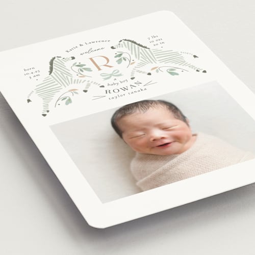 This is a seafoam birth announcement magnets with standard by Griffinbell Paper Co. called hearts and stripes printing on magnet paper in magnet