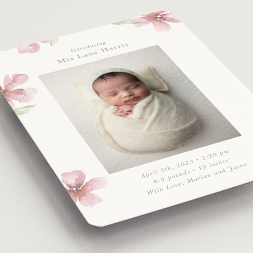 This is a petals birth announcement magnets with standard by Melinda Denison called flower petals printing on magnet paper in magnet