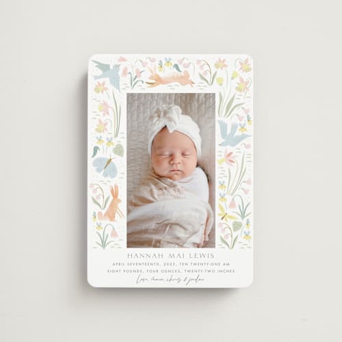 This is a sky birth announcement magnets with standard by Eve Schultz called baby garden printing on magnet paper in magnet