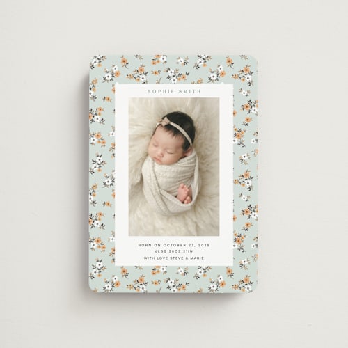 This is a mojito birth announcement magnets with standard by Sherley Ferreira called spring gardens printing on magnet paper in magnet