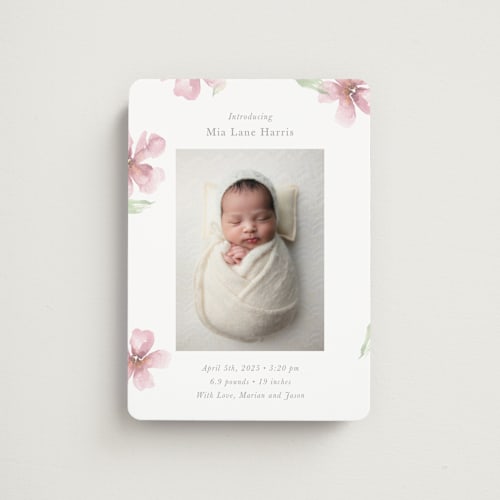 This is a petals birth announcement magnets with standard by Melinda Denison called flower petals printing on magnet paper in magnet