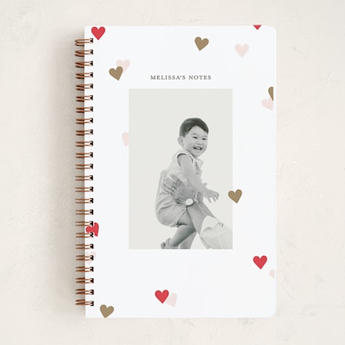 This is a berries journals with standard by Pixel and Hank called confetto printing on premium cover stock in notebook