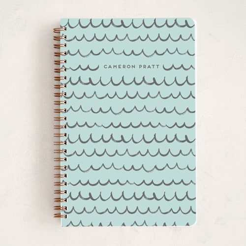 This is a mint journals with standard by Shirley Lin Schneider called doodles printing on premium cover stock in notebook