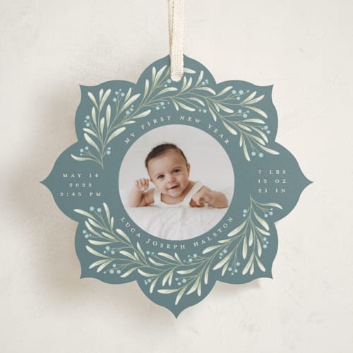 This is a blue jay holiday card ornaments with standard by Randi Cirelli called merry & new printing on recycled smooth signature in ornament