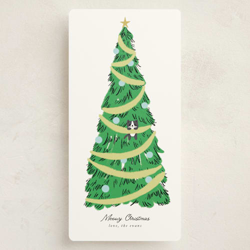 This is a lime holiday photo cards with standard by mo kelley called hanging out for the holidays printing on signature in tall