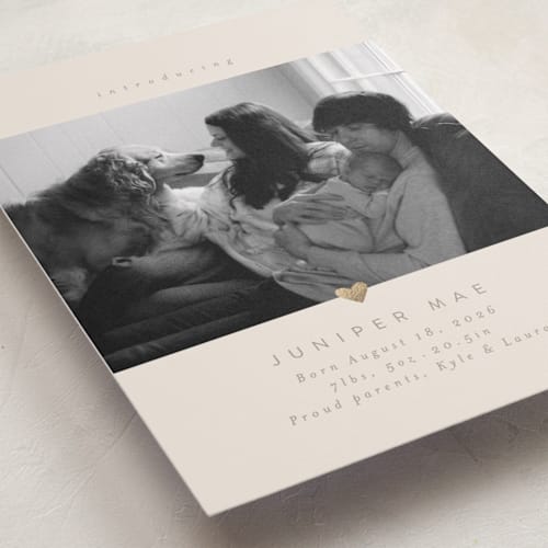 This is a latte foil stamped birth announcements with foil pressed by Carolyn Nicks called love bug printing on recycled smooth signature in standard