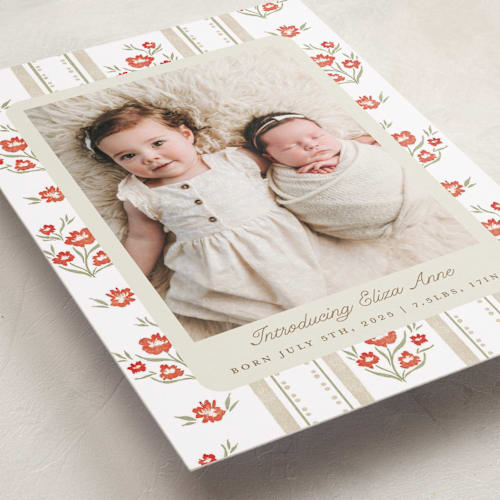 This is a robin birth announcements with standard by Jackie Crawford called cottage watercolor ribbon printing on recycled smooth signature in standard
