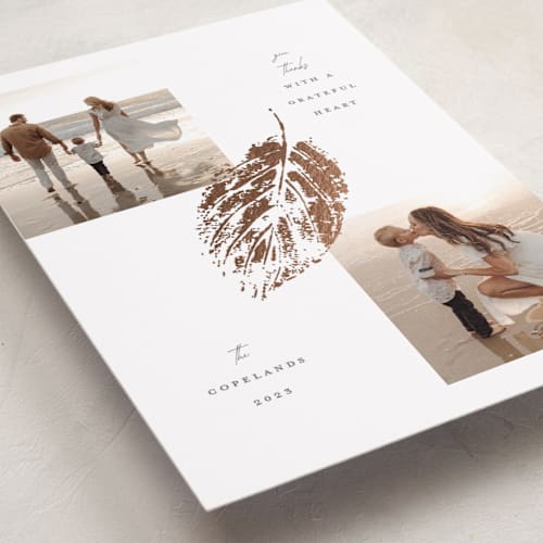 This is a vanilla thanksgiving cards invitations with foil pressed by Susan Zinader called falling printing on recycled smooth signature in standard