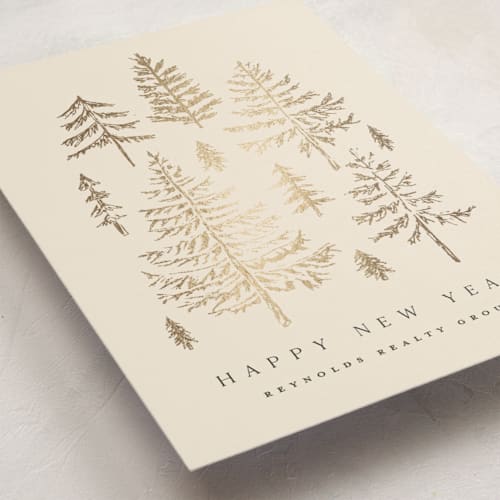 This is a cream business holiday cards with foil pressed by Amy Kross called spruce shine printing on signature in standard