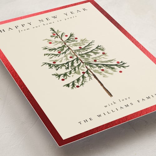 This is a eggnog foil pressed holiday cards with foil pressed by Amy Kross called vintage spruce printing on signature in standard