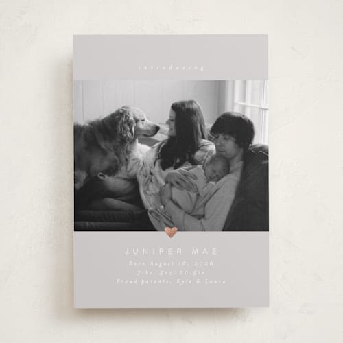 This is a dove foil stamped birth announcements with foil pressed by Carolyn Nicks called love bug printing on recycled smooth signature in standard