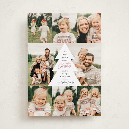 This is a holly berry photo christmas cards with standard by Alethea and Ruth called multi tree center printing on recycled smooth signature in standard