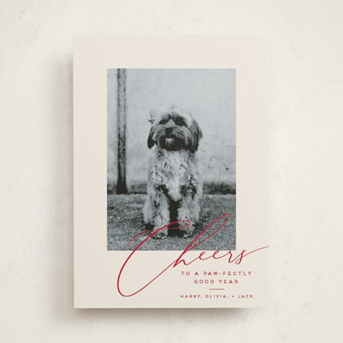 This is a holly berry new year photo cards with standard by Louise Kay called happy pets printing on recycled smooth signature in standard