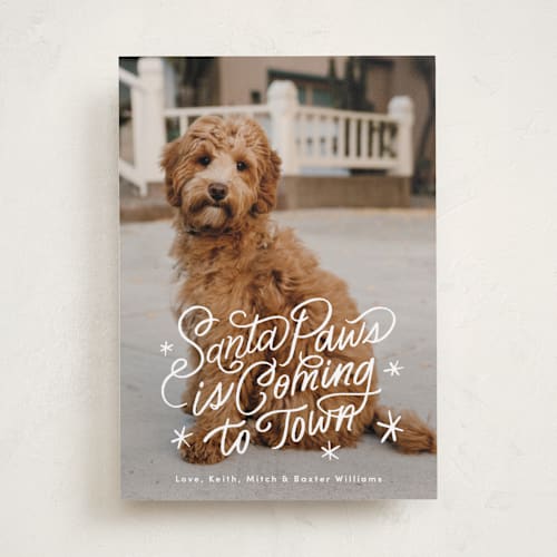 This is a snow holiday photo cards with standard by Becky Nimoy called santa paws is coming to town printing on recycled smooth signature in standard