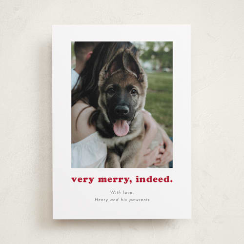 This is a peppermint holiday photo cards with standard by Kristen Knechtel called indeed printing on recycled smooth signature in standard